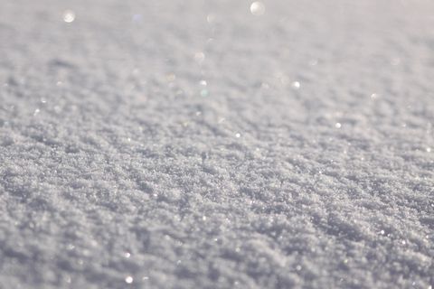 朝日に輝く新雪・・・・・「メロンシロップをかけたい」by 専属カメラマン