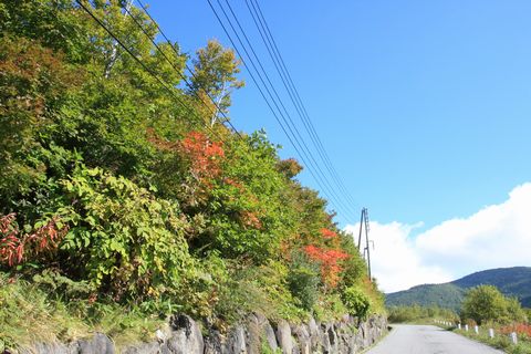 “奥志賀 ・直前”の初紅葉　　　　10月1日撮影