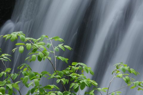 奥志賀渓谷  “満水の滝”　　　
