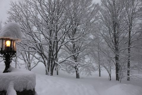 本日の “冬景色”    　　　　　　3月31日撮影