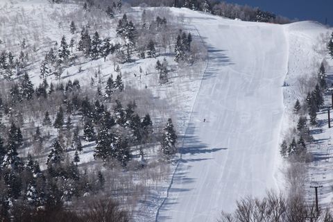奥志賀のゲレンデは “天然雪製”　　　　　　　　　2月28日撮影