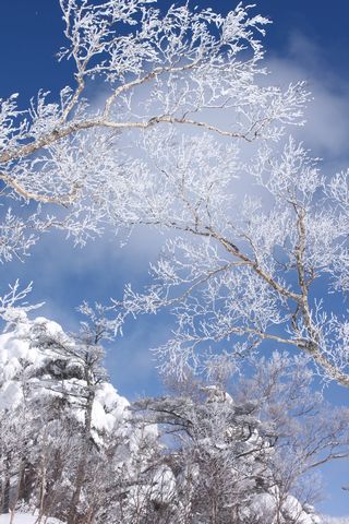 志賀高原 高天原　　　　　　　　　１月１３日撮影