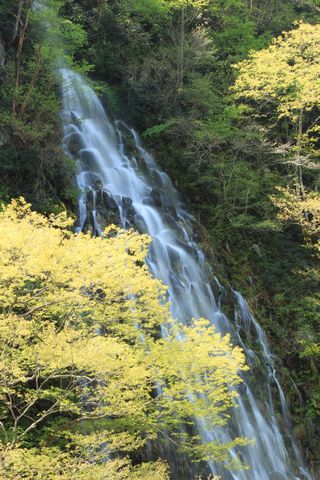 毎年5月8日にだけ現れる“幻の滝”　　　　　　